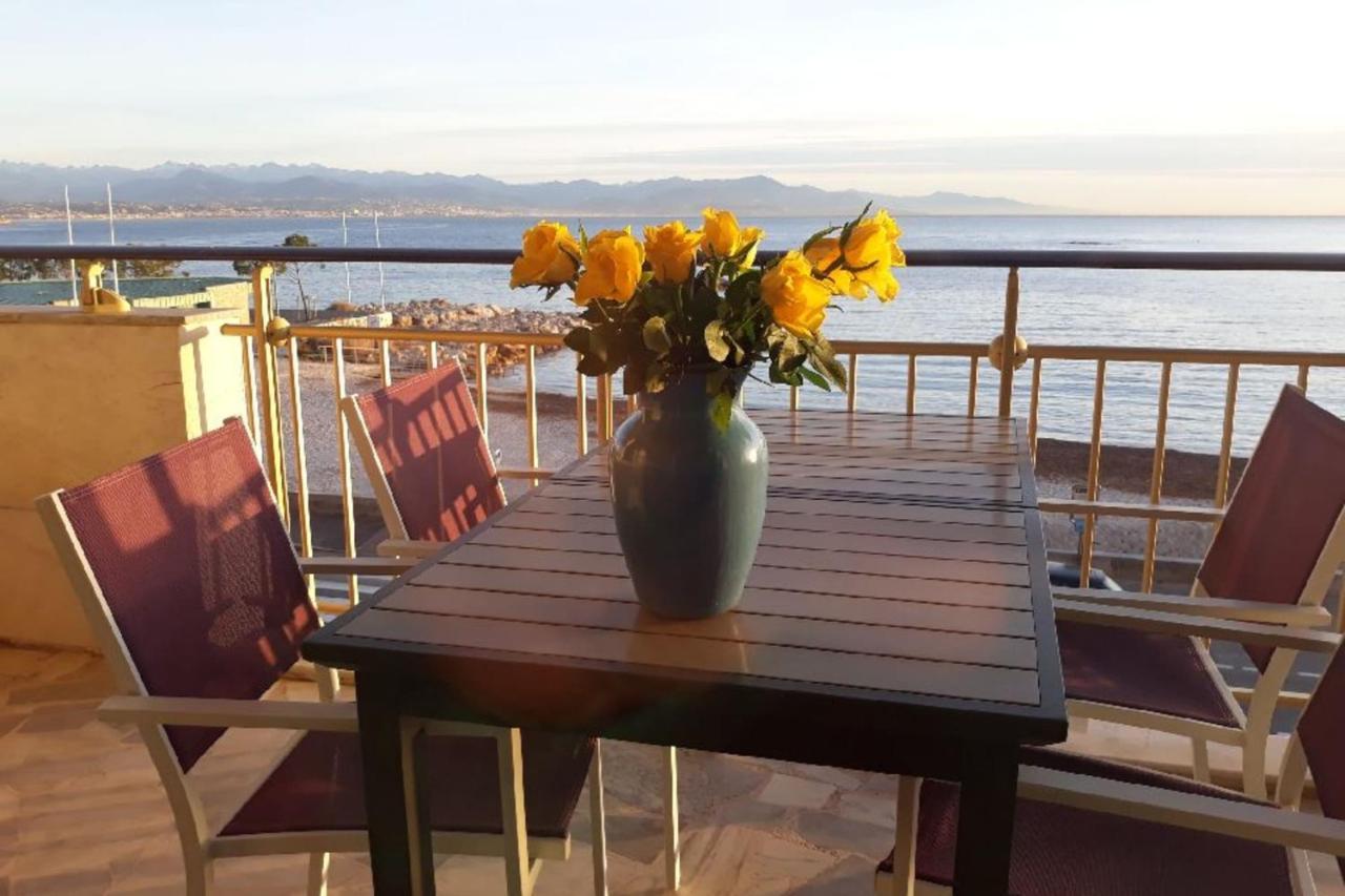 Seafront One Bedroom Apartment With A Terrasse Swimming Pool And A Parking Antibes Exteriér fotografie