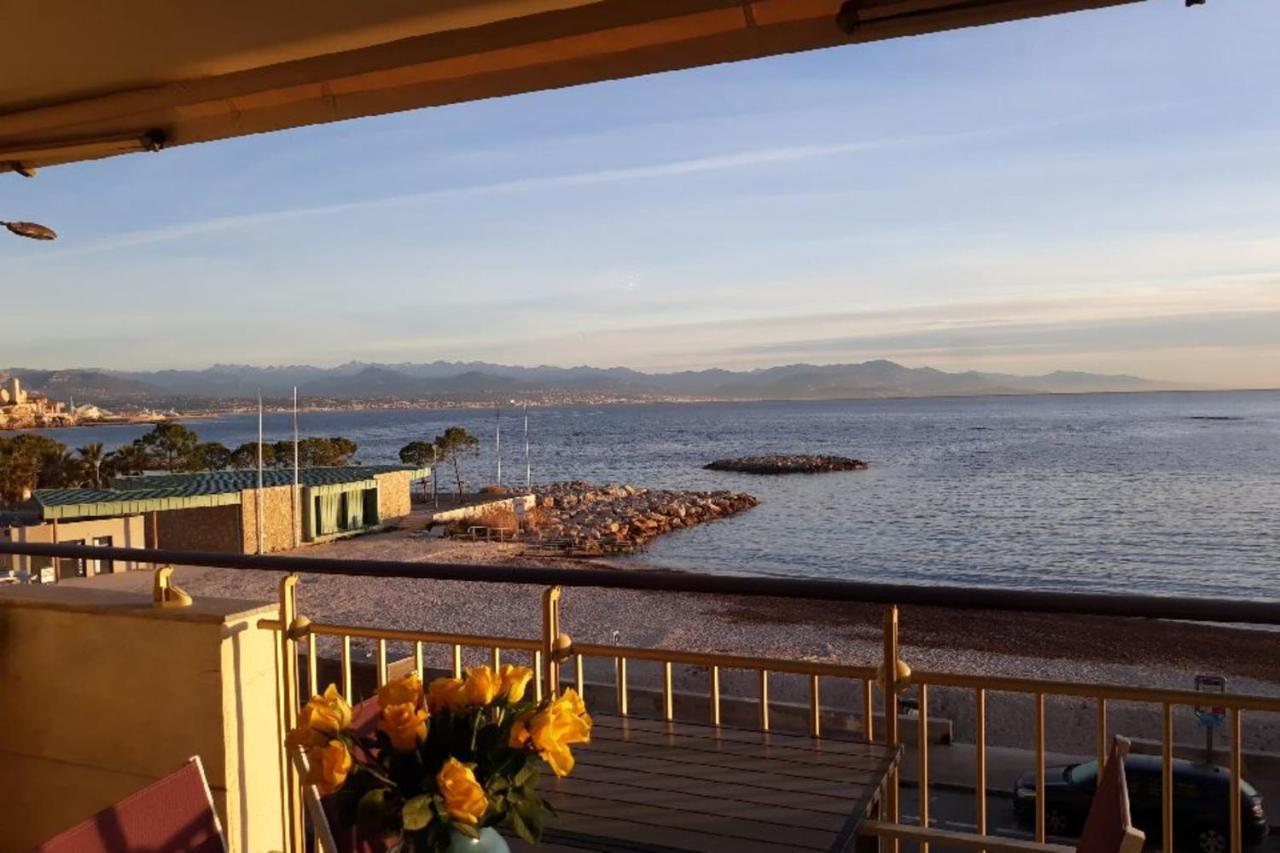 Seafront One Bedroom Apartment With A Terrasse Swimming Pool And A Parking Antibes Exteriér fotografie